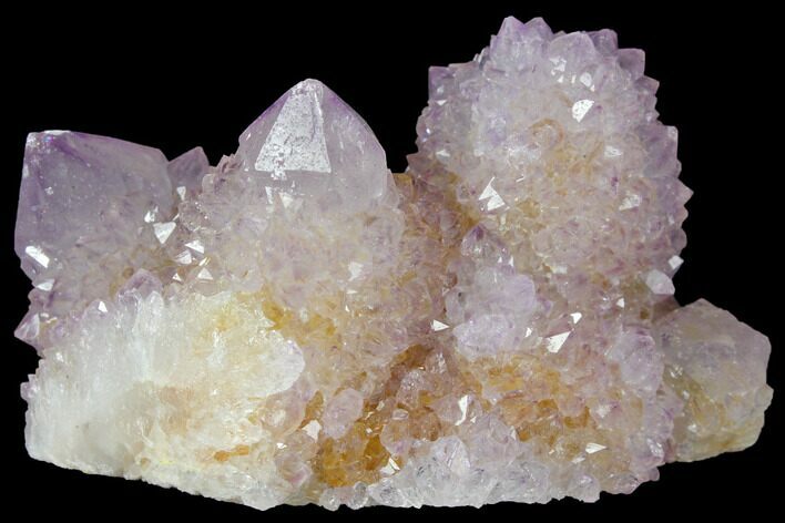 Cactus Quartz (Amethyst) Crystal Cluster - South Africa #132512